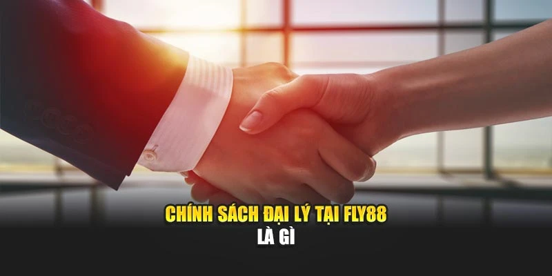 Chính sách đại lý tại Fly88 là gì